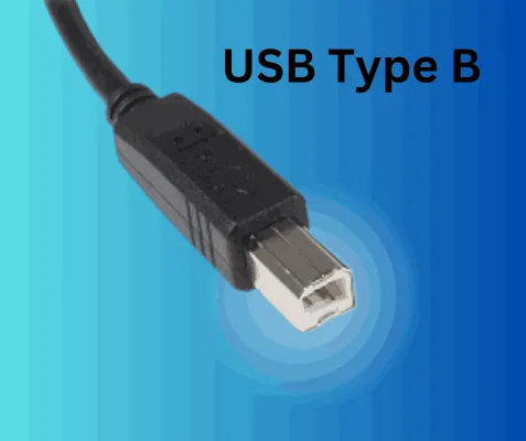 USB Type B